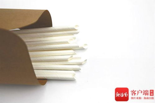 禁塑进行时 海南推动替代品生产有序发展塑材料新篇章